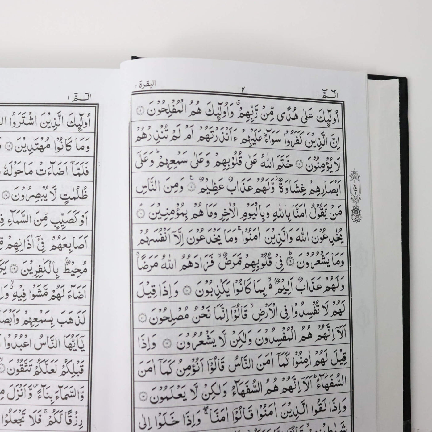 Quran Indo/Pak Script 167