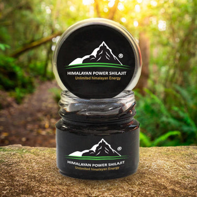 Himalayan Power Shilajit