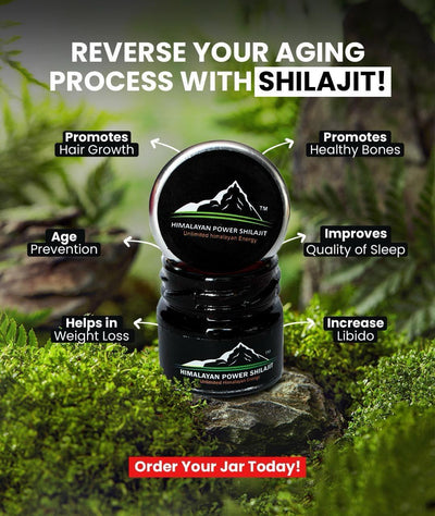 Himalayan Power Shilajit