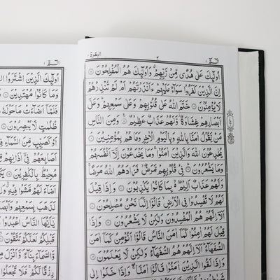 Quran Indo/Pak Script 166